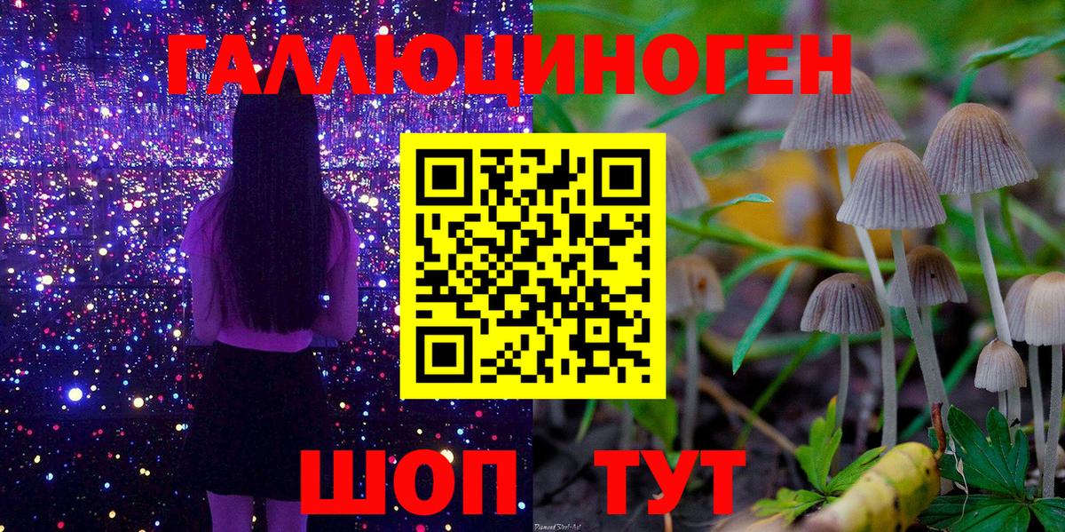 Тайшет  Псилоцибиновые грибы Magic Shrooms  Вход с VPN  Галлюциногенные грибы мицелий 